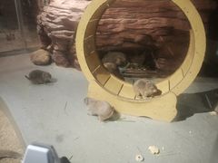 -正佳雨林生态植物园