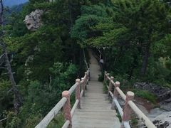 -西安祥峪森林公园