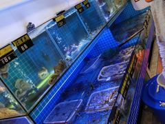 -江南村海鲜馆(洞头店)
