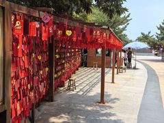 -石岛赤山风景区