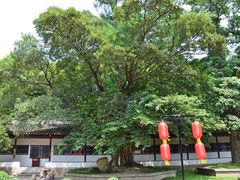 -苏州文庙(姑苏区)