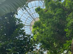 -郑州植物园