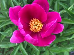 -长春公园(普阳街道)