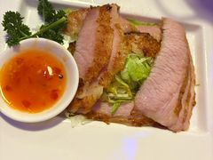 -新白鹿餐厅(百联中环店)