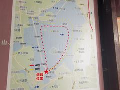 -西湖外事游船(花港观鱼码头)