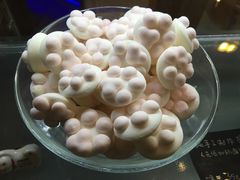 -猫咪博物馆(顶澳仔猫街店)