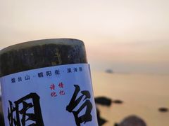 -养马岛旅游度假区