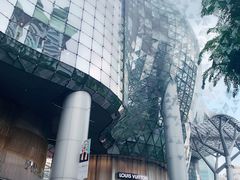 -爱雍·乌节