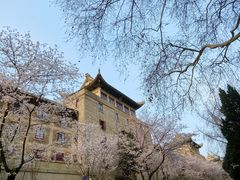 -武汉大学-樱园