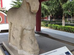 -茂陵博物馆