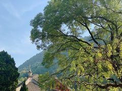 -华清宫景区
