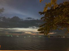 -卷心菜和避孕套餐厅(Pattaya)