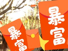 -回坊马二饺子馆