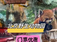 -北京野生动物园