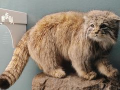 -国家自然博物馆