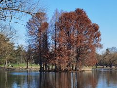 -上海共青森林公园