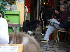 -老宅原住民沙茶面精品小吃(龙头路店)