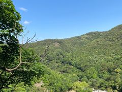 -四明山国家森林公园