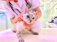 -宠颐生中康贝怡动物医院