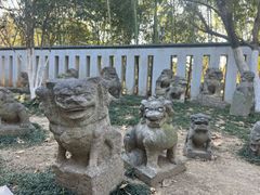 -徐州龟山景区