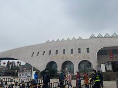 -自贡恐龙博物馆