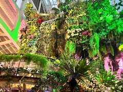 -正佳雨林生态植物园