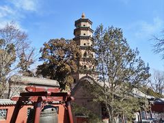 -晋祠公园
