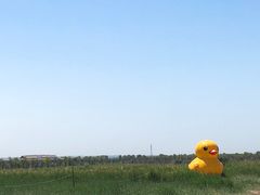 -黄沙古渡原生态旅游区