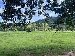 -风云岭森林公园