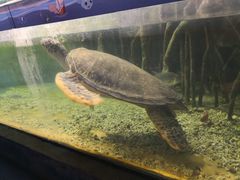 -苏州海洋馆
