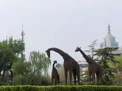 -莲花池公园