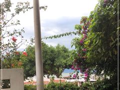 -大理老字号·舟渔的鱼野生菌海景餐厅(双廊店)