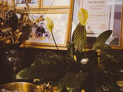 -MIO弥欧洋房西餐厅(中央大街店)