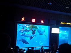 -太平洋海底世界