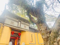 -无锡惠山寺