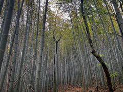 -鸿姐老火锅(疁城新天地店)