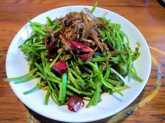 -菌自由丨野生菌火锅特色庭院餐厅(丽江古城店)