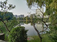 -大兴滨河森林公园