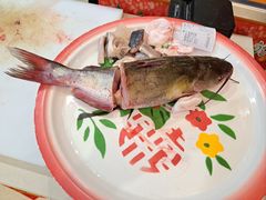 -老刘生态大鱼坊铁锅炖鱼(赛马场店)