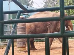 -秦皇岛野生动物园