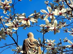 -石岛赤山风景区