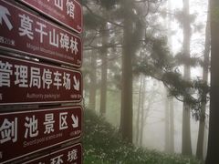 -莫干山风景区