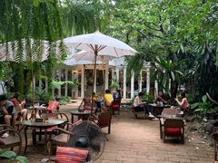 -Fern Forest Cafe