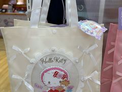 -安吉Hello Kitty乐园