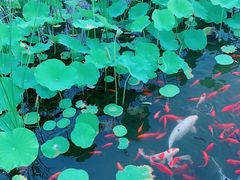-西海子公园