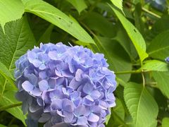 -申正律师团队-法律咨询(杨高店)