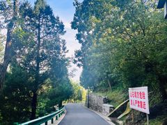 -白水寺森林公园
