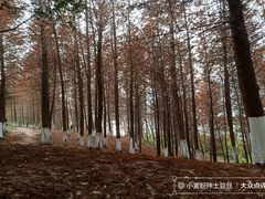 -金海湾滨江公园