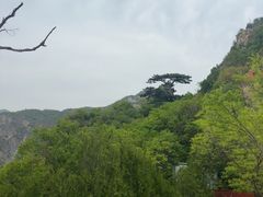 -圣莲山风景区