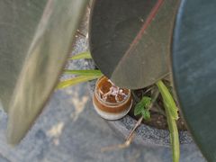 -澈烘焙·生日蛋糕·下午茶(龙华店)